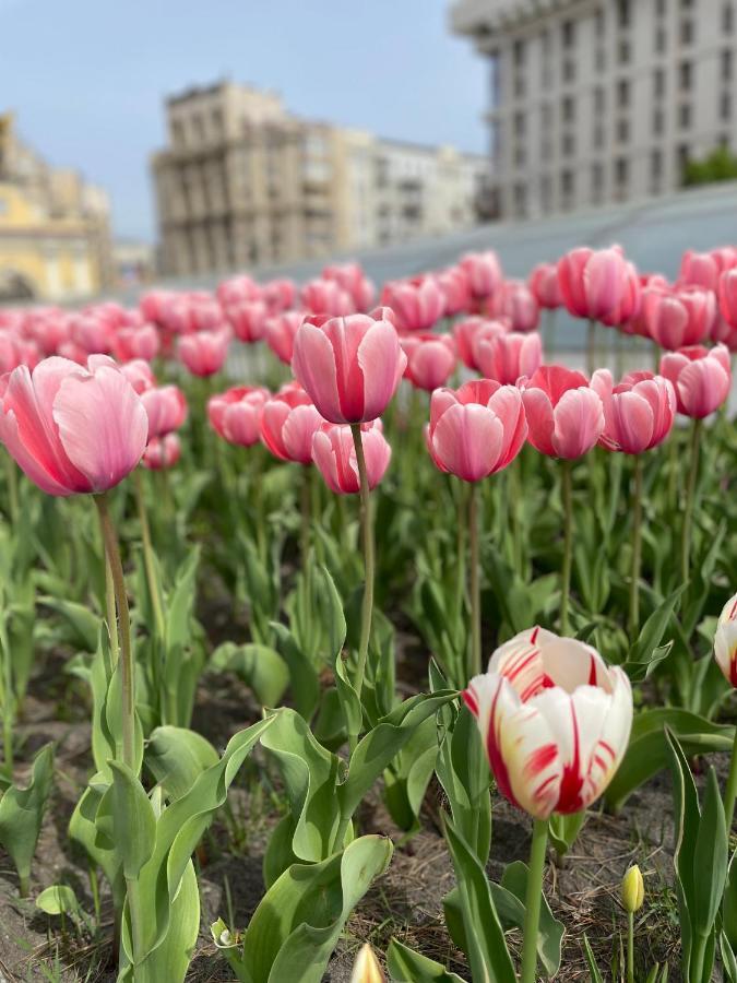 Однокімнатні Апартаменти На Майдані, Дистанційне Заселення 24Х7 Kiev Luaran gambar